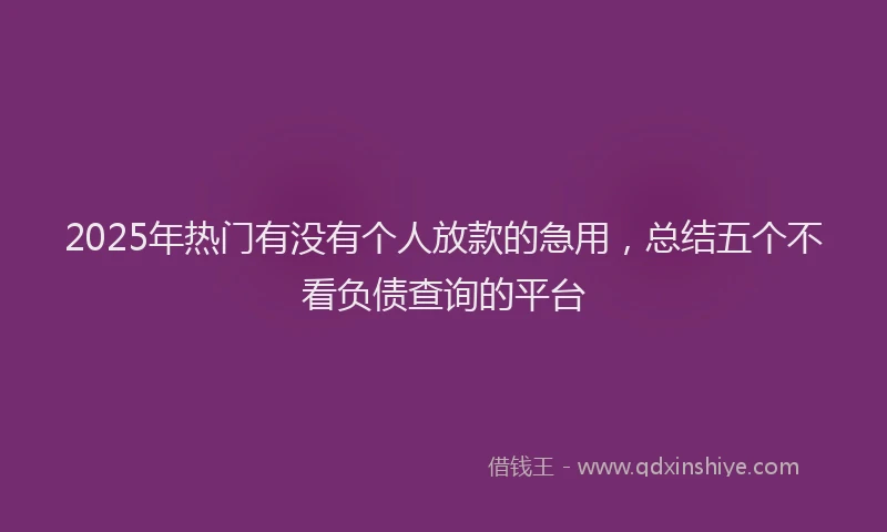 2025年热门有没有个人放款的急用，总结五个不看负债查询的平台