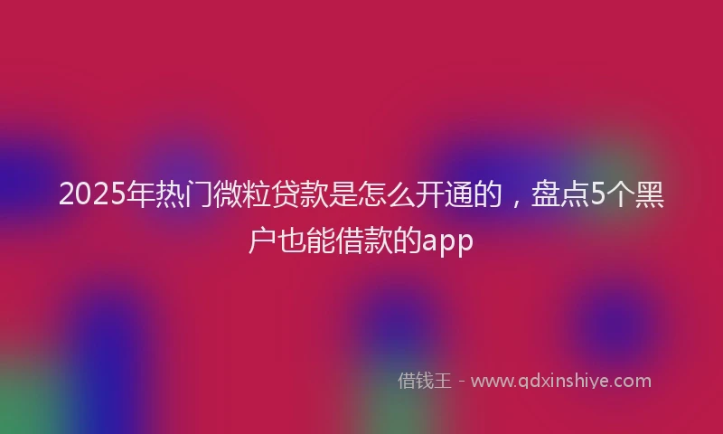 2025年热门微粒贷款是怎么开通的，盘点5个黑户也能借款的app