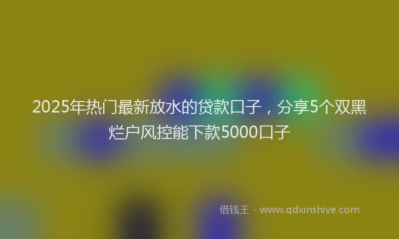 2025年热门最新放水的贷款口子，分享5个双黑烂户风控能下款5000口子