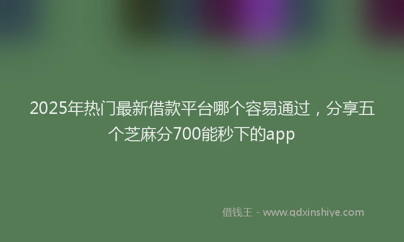2025年热门最新借款平台哪个容易通过，分享五个芝麻分700能秒下的app