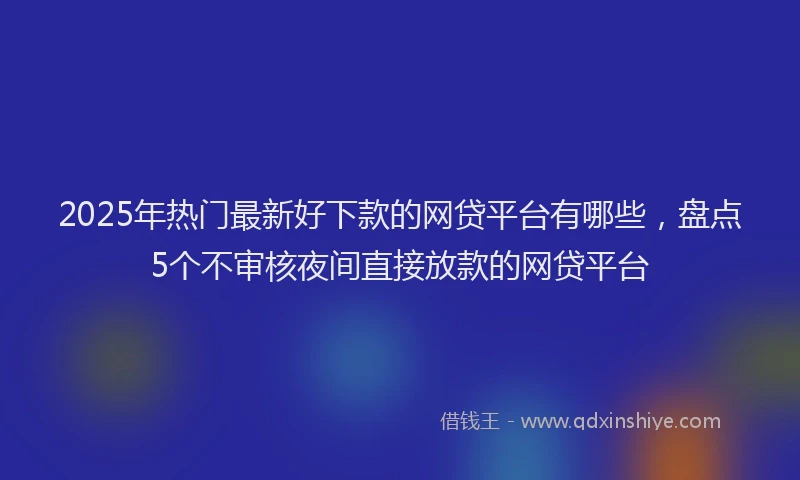 2025年热门最新好下款的网贷平台有哪些，盘点5个不审核夜间直接放款的网贷平台