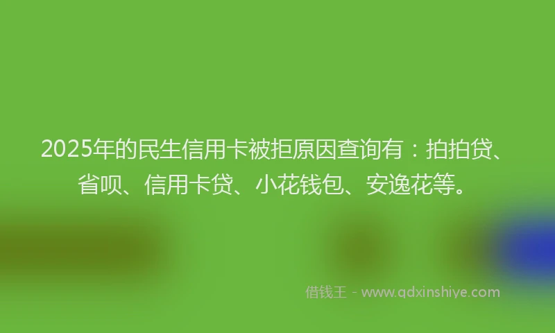 2025年的民生信用卡被拒原因查询有：拍拍贷、省呗、信用卡贷、小花钱包、安逸花等。