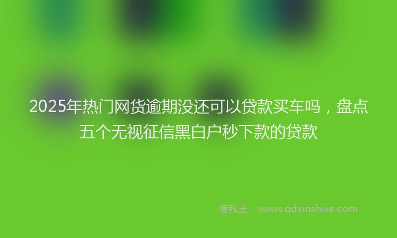 2025年热门网货逾期没还可以贷款买车吗，盘点五个无视征信黑白户秒下款的贷款