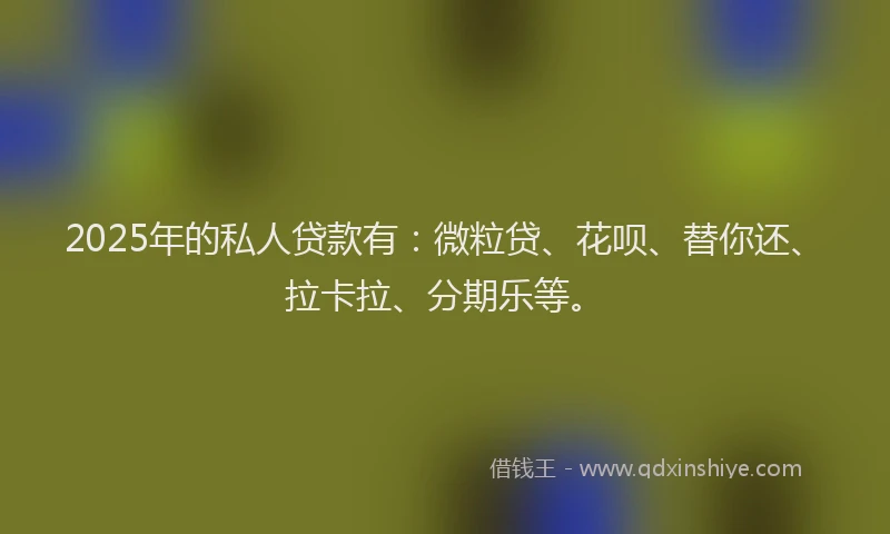 2025年的私人贷款有：微粒贷、花呗、替你还、拉卡拉、分期乐等。