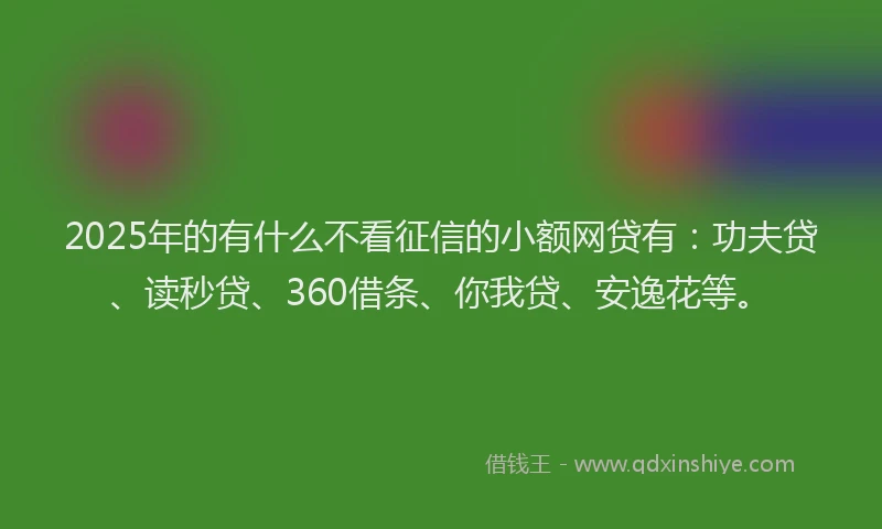 2025年的有什么不看征信的小额网贷有：功夫贷、读秒贷、360借条、你我贷、安逸花等。
