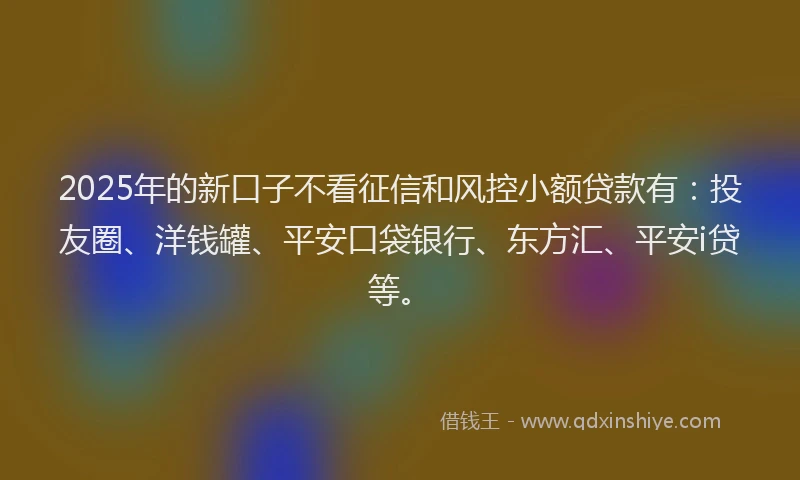 2025年的新口子不看征信和风控小额贷款有：投友圈、洋钱罐、平安口袋银行、东方汇、平安i贷等。