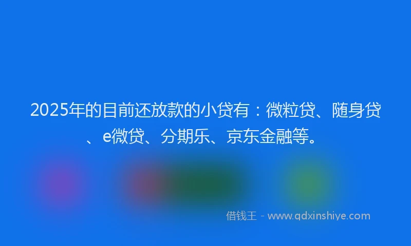 2025年的目前还放款的小贷有：微粒贷、随身贷、e微贷、分期乐、京东金融等。