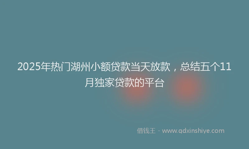 2025年热门湖州小额贷款当天放款，总结五个11月独家贷款的平台