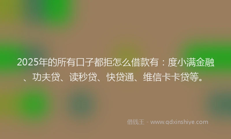 2025年的所有口子都拒怎么借款有：度小满金融、功夫贷、读秒贷、快贷通、维信卡卡贷等。