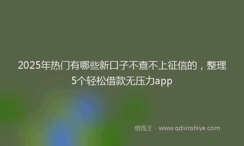 2025年热门有哪些新口子不查不上征信的，整理5个轻松借款无压力app