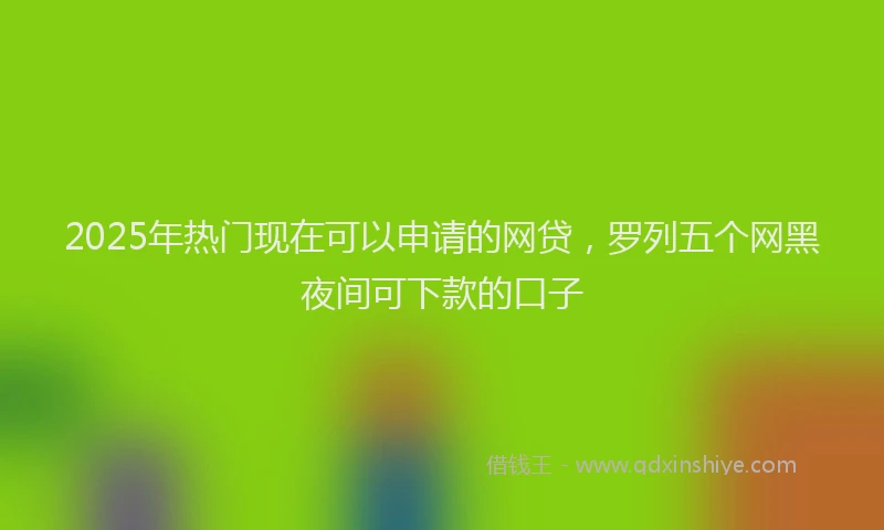 2025年热门现在可以申请的网贷，罗列五个网黑夜间可下款的口子