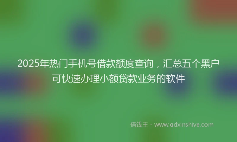 2025年热门手机号借款额度查询，汇总五个黑户可快速办理小额贷款业务的软件