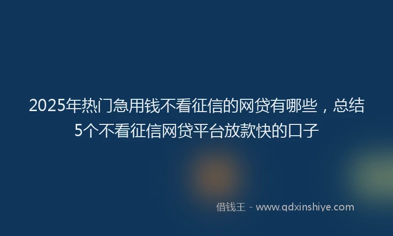 2025年热门急用钱不看征信的网贷有哪些，总结5个不看征信网贷平台放款快的口子