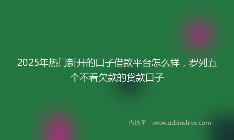 2025年热门新开的口子借款平台怎么样，罗列五个不看欠款的贷款口子