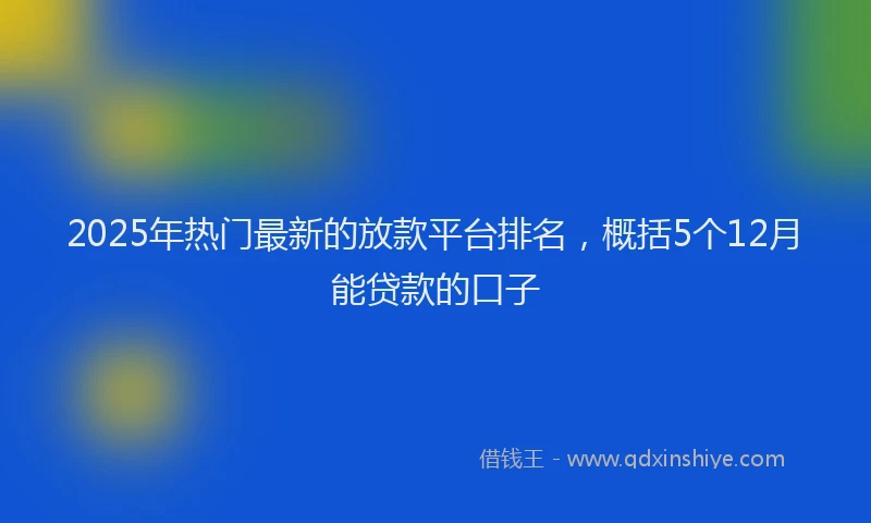 2025年热门最新的放款平台排名，概括5个12月能贷款的口子