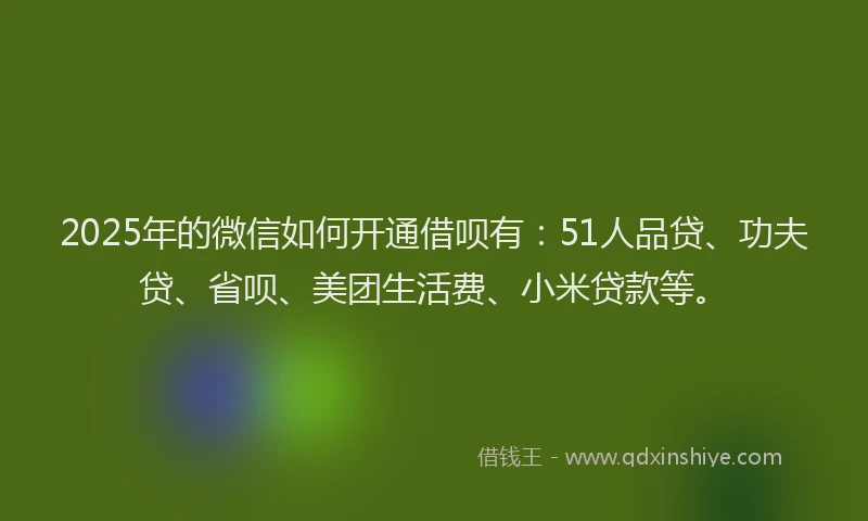 2025年的微信如何开通借呗有：51人品贷、功夫贷、省呗、美团生活费、小米贷款等。