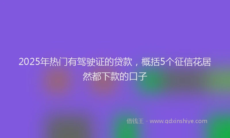2025年热门有驾驶证的贷款，概括5个征信花居然都下款的口子