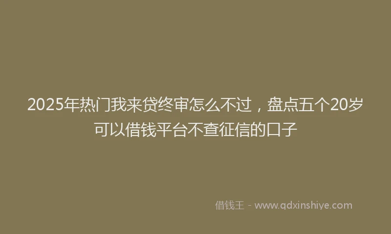 2025年热门我来贷终审怎么不过，盘点五个20岁可以借钱平台不查征信的口子