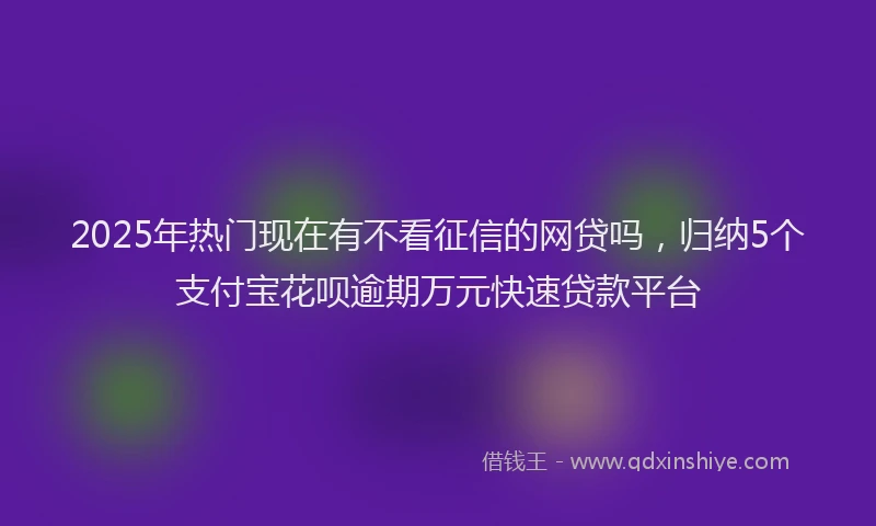 2025年热门现在有不看征信的网贷吗，归纳5个支付宝花呗逾期万元快速贷款平台