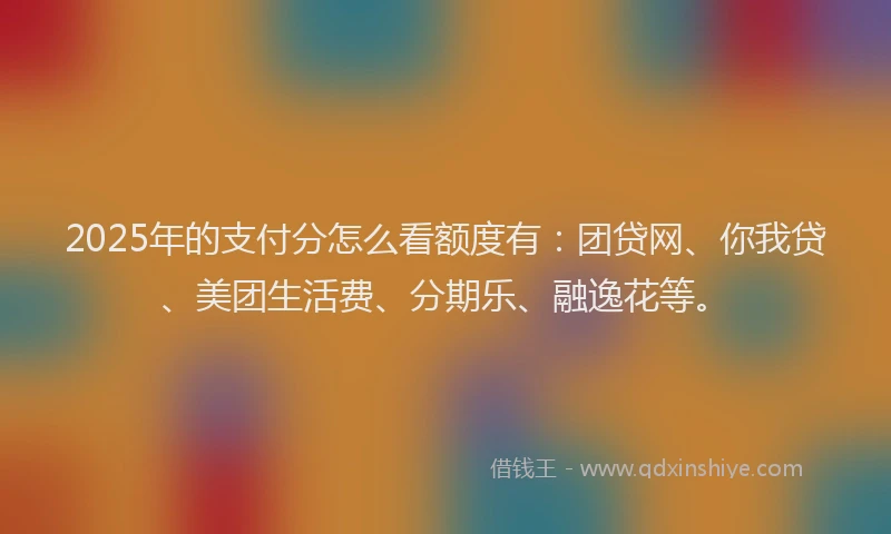 2025年的支付分怎么看额度有：团贷网、你我贷、美团生活费、分期乐、融逸花等。
