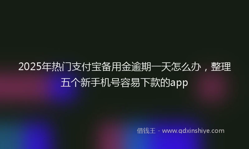2025年热门支付宝备用金逾期一天怎么办，整理五个新手机号容易下款的app
