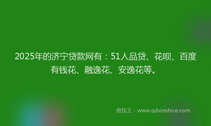 2025年的济宁贷款网有：51人品贷、花呗、百度有钱花、融逸花、安逸花等。