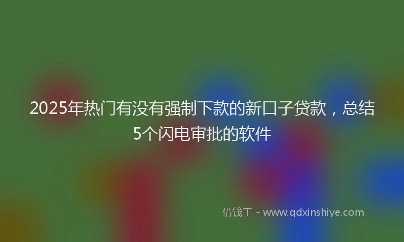 2025年热门有没有强制下款的新口子贷款，总结5个闪电审批的软件
