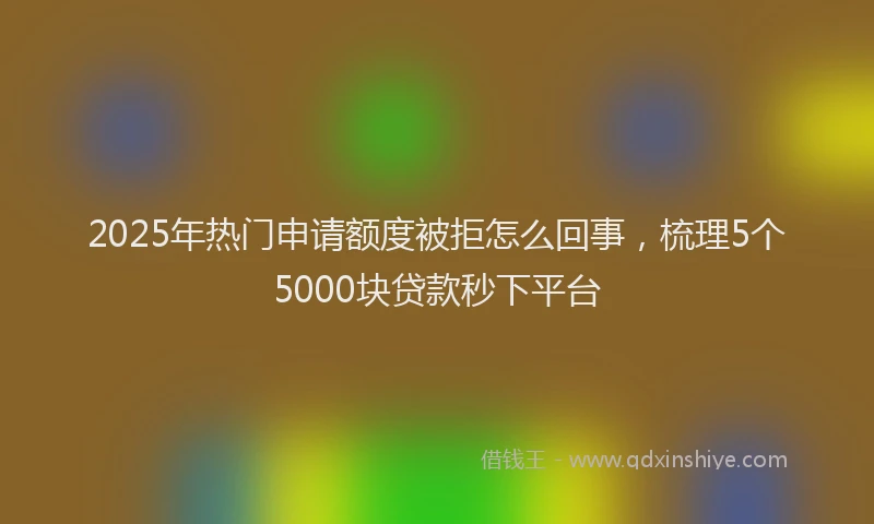 2025年热门申请额度被拒怎么回事，梳理5个5000块贷款秒下平台