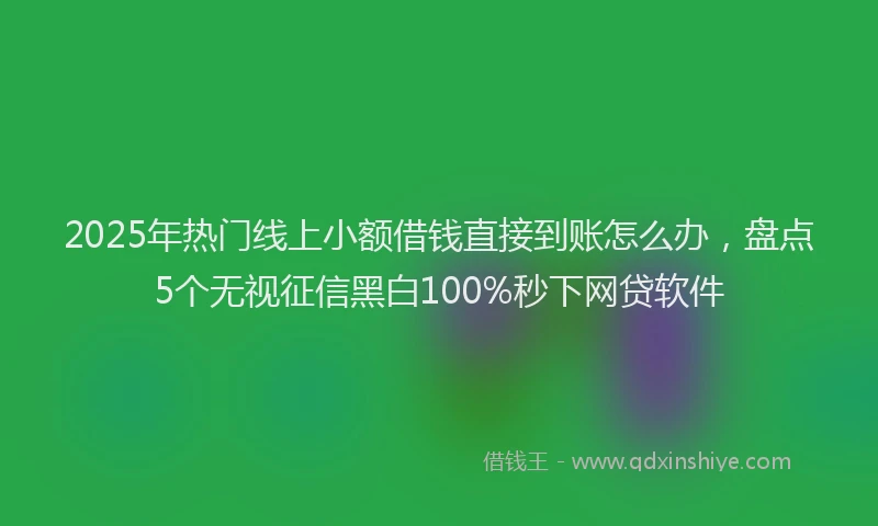 2025年热门线上小额借钱直接到账怎么办，盘点5个无视征信黑白100%秒下网贷软件