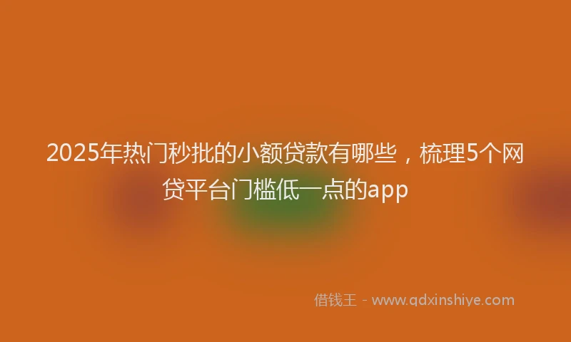 2025年热门秒批的小额贷款有哪些，梳理5个网贷平台门槛低一点的app