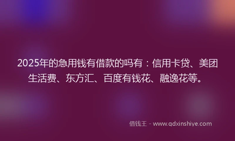 2025年的急用钱有借款的吗有：信用卡贷、美团生活费、东方汇、百度有钱花、融逸花等。