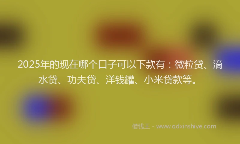 2025年的现在哪个口子可以下款有：微粒贷、滴水贷、功夫贷、洋钱罐、小米贷款等。