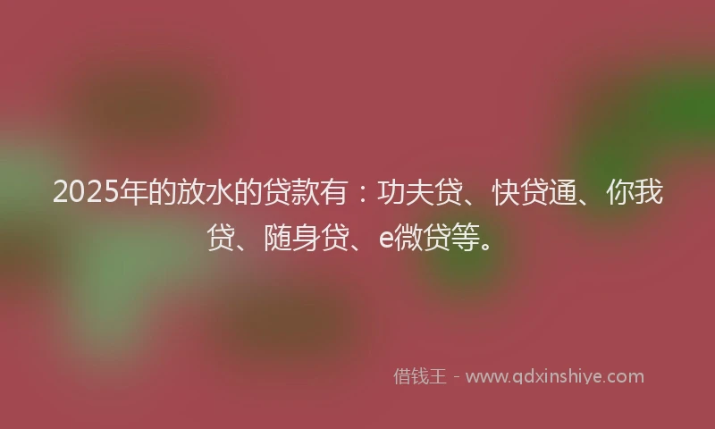 2025年的放水的贷款有：功夫贷、快贷通、你我贷、随身贷、e微贷等。