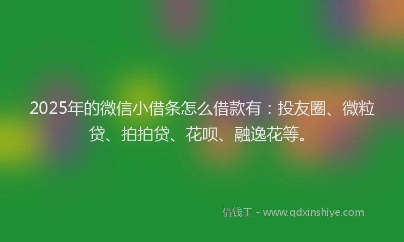 2025年的微信小借条怎么借款有：投友圈、微粒贷、拍拍贷、花呗、融逸花等。