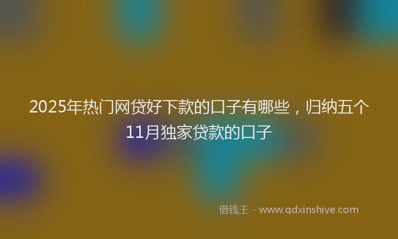 2025年热门网贷好下款的口子有哪些，归纳五个11月独家贷款的口子