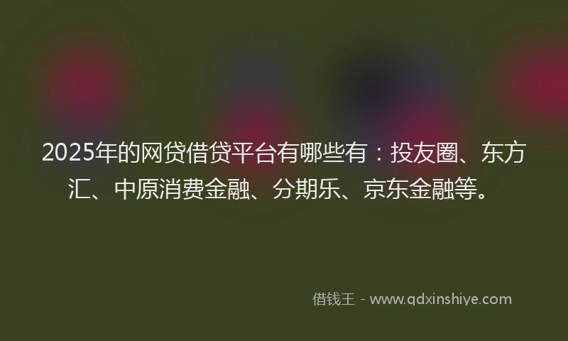2025年的网贷借贷平台有哪些有：投友圈、东方汇、中原消费金融、分期乐、京东金融等。