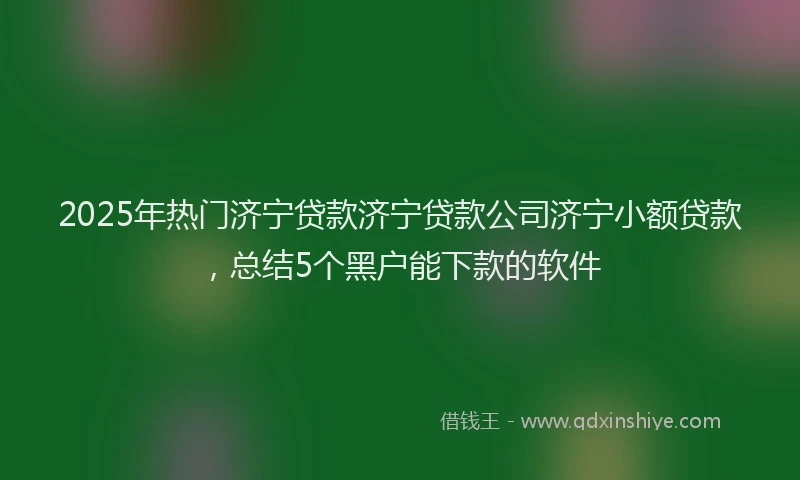 2025年热门济宁贷款济宁贷款公司济宁小额贷款，总结5个黑户能下款的软件