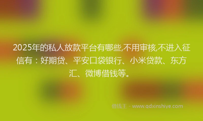 2025年的私人放款平台有哪些,不用审核,不进入征信有：好期贷、平安口袋银行、小米贷款、东方汇、微博借钱等。
