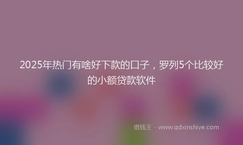 2025年热门有啥好下款的口子，罗列5个比较好的小额贷款软件