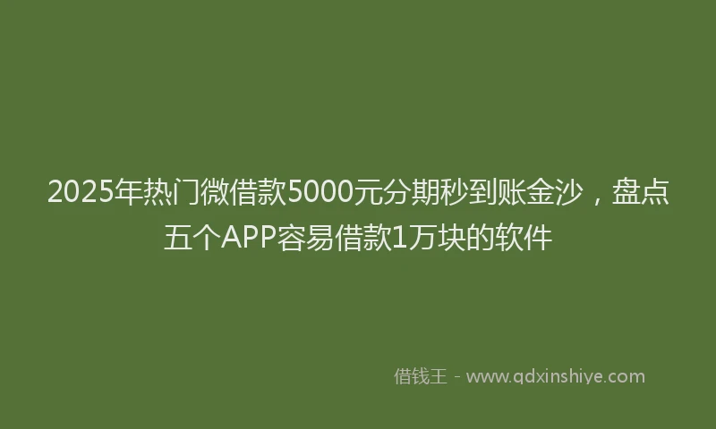 2025年热门微借款5000元分期秒到账金沙，盘点五个APP容易借款1万块的软件