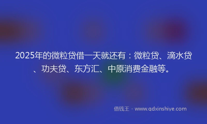 2025年的微粒贷借一天就还有：微粒贷、滴水贷、功夫贷、东方汇、中原消费金融等。