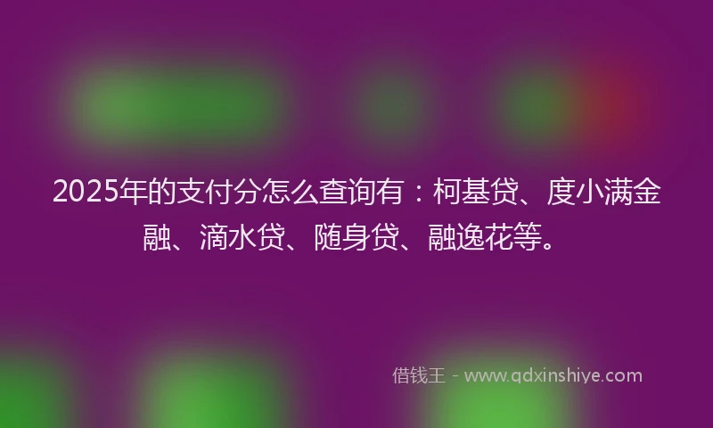 2025年的支付分怎么查询有：柯基贷、度小满金融、滴水贷、随身贷、融逸花等。