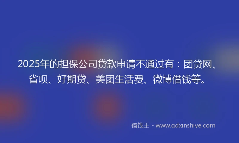 2025年的担保公司贷款申请不通过有：团贷网、省呗、好期贷、美团生活费、微博借钱等。