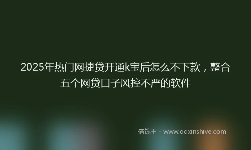 2025年热门网捷贷开通k宝后怎么不下款，整合五个网贷口子风控不严的软件
