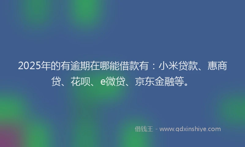 2025年的有逾期在哪能借款有：小米贷款、惠商贷、花呗、e微贷、京东金融等。