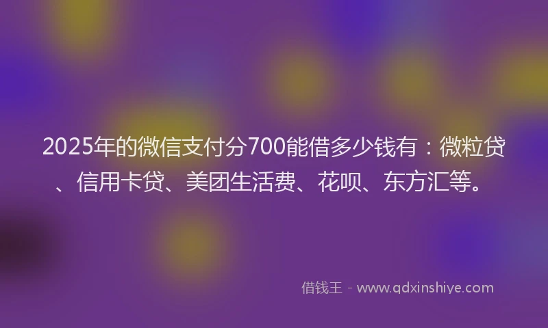2025年的微信支付分700能借多少钱有：微粒贷、信用卡贷、美团生活费、花呗、东方汇等。