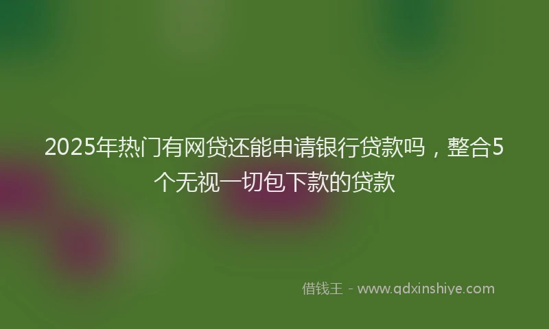 2025年热门有网贷还能申请银行贷款吗，整合5个无视一切包下款的贷款