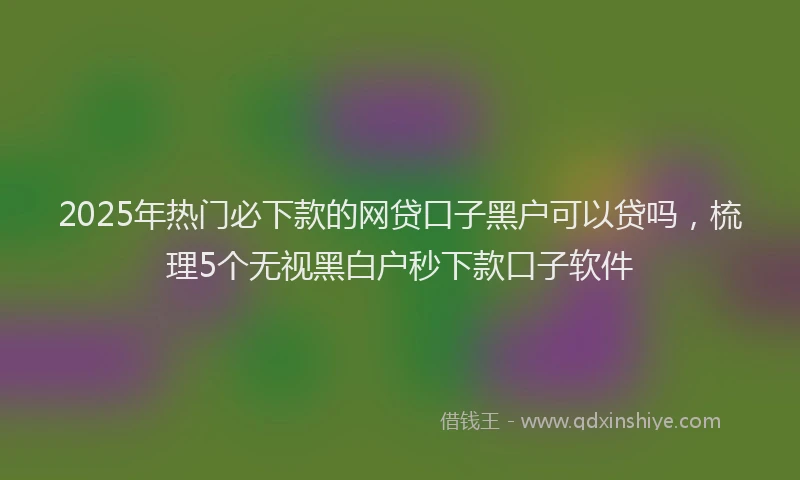 2025年热门必下款的网贷口子黑户可以贷吗，梳理5个无视黑白户秒下款口子软件
