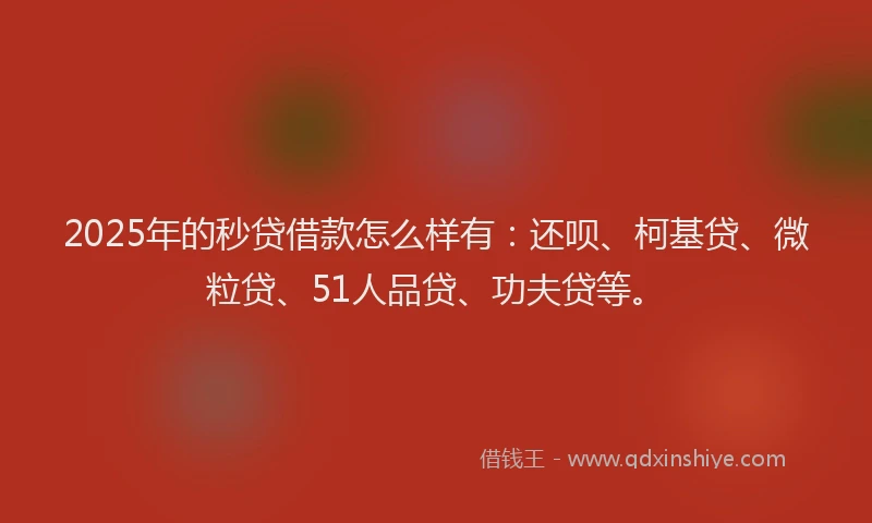 2025年的秒贷借款怎么样有：还呗、柯基贷、微粒贷、51人品贷、功夫贷等。