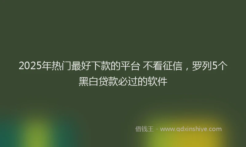 2025年热门最好下款的平台 不看征信，罗列5个黑白贷款必过的软件